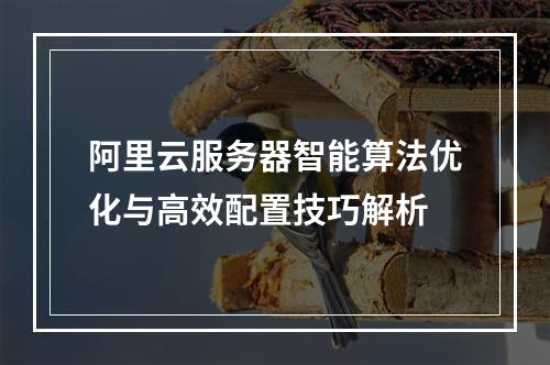 阿里云服务器智能算法优化与高效配置技巧解析