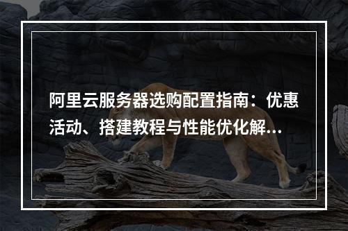 阿里云服务器选购配置指南：优惠活动、搭建教程与性能优化解析