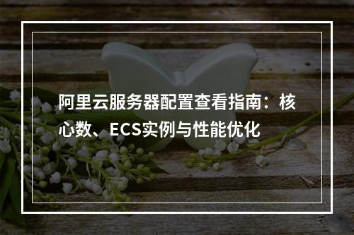 阿里云服务器配置查看指南：核心数、ECS实例与性能优化