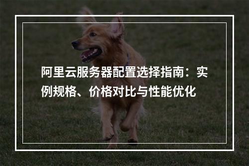 阿里云服务器配置选择指南：实例规格、价格对比与性能优化
