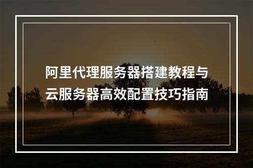 阿里代理服务器搭建教程与云服务器高效配置技巧指南