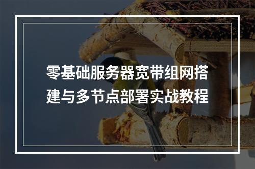 零基础服务器宽带组网搭建与多节点部署实战教程