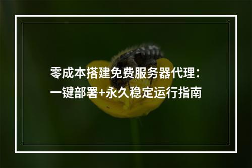 零成本搭建免费服务器代理：一键部署+永久稳定运行指南