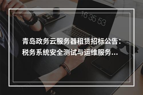 青岛政务云服务器租赁招标公告：税务系统安全测试与运维服务采购