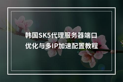 韩国SK5代理服务器端口优化与多IP加速配置教程