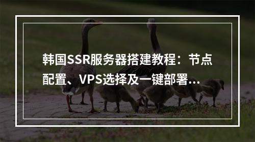 韩国SSR服务器搭建教程：节点配置、VPS选择及一键部署指南