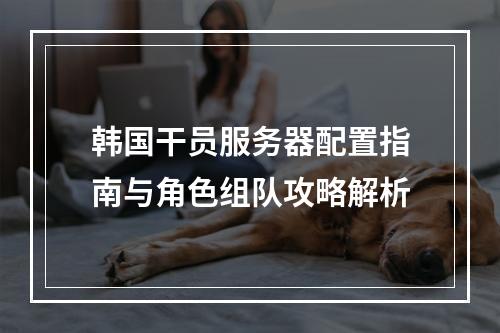 韩国干员服务器配置指南与角色组队攻略解析