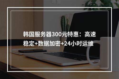 韩国服务器300元特惠：高速稳定+数据加密+24小时运维