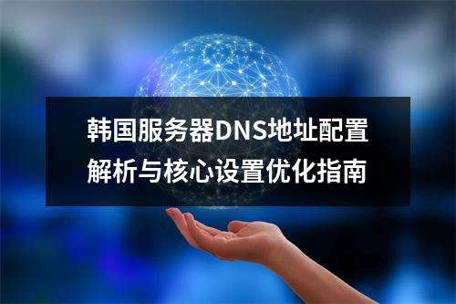 韩国服务器DNS地址配置解析与核心设置优化指南