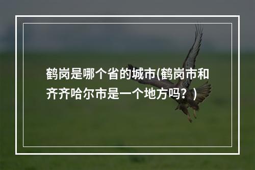 鹤岗是哪个省的城市(鹤岗市和齐齐哈尔市是一个地方吗?)