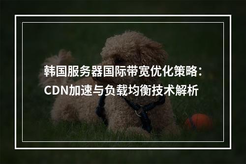 韩国服务器国际带宽优化策略：CDN加速与负载均衡技术解析