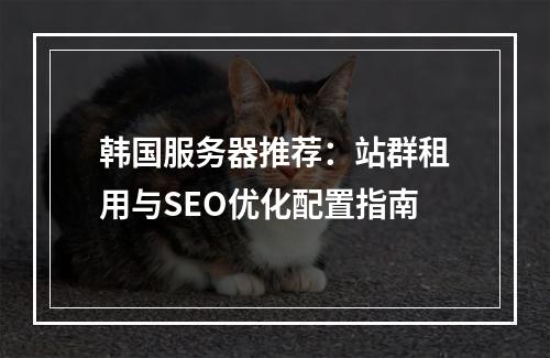 韩国服务器推荐：站群租用与SEO优化配置指南