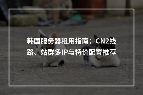韩国服务器租用指南：CN2线路、站群多IP与特价配置推荐
