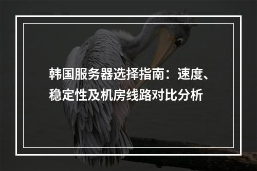 韩国服务器选择指南：速度、稳定性及机房线路对比分析