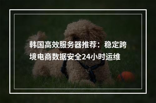 韩国高效服务器推荐：稳定跨境电商数据安全24小时运维