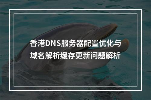 香港DNS服务器配置优化与域名解析缓存更新问题解析