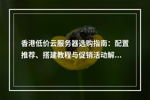 香港低价云服务器选购指南：配置推荐、搭建教程与促销活动解析