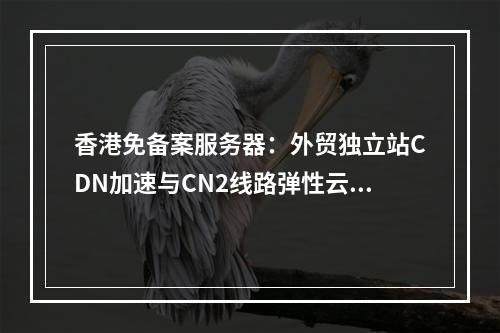 香港免备案服务器：外贸独立站CDN加速与CN2线路弹性云方案