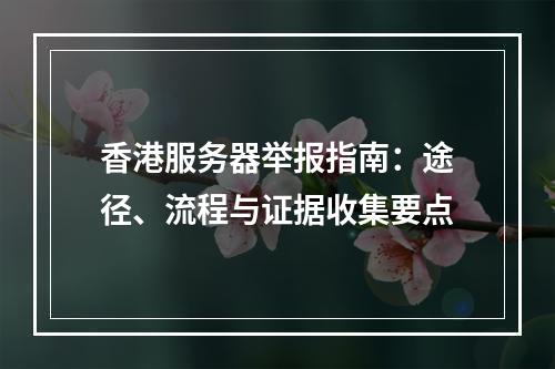 香港服务器举报指南：途径、流程与证据收集要点