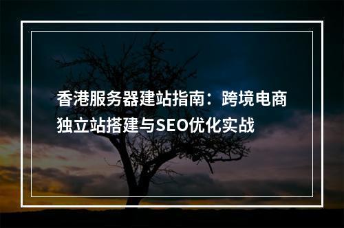 香港服务器建站指南：跨境电商独立站搭建与SEO优化实战