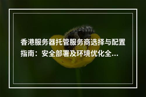 香港服务器托管服务商选择与配置指南：安全部署及环境优化全解析
