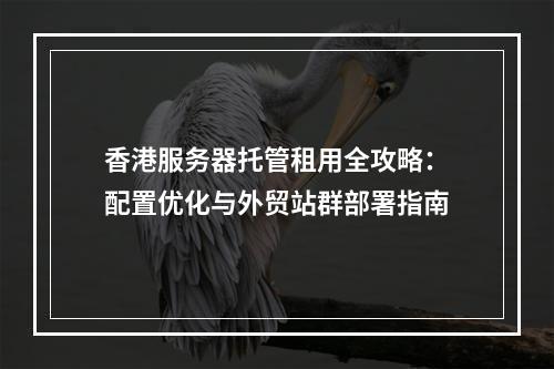 香港服务器托管租用全攻略：配置优化与外贸站群部署指南