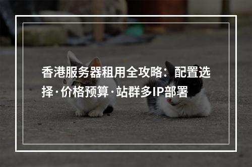 香港服务器租用全攻略：配置选择·价格预算·站群多IP部署