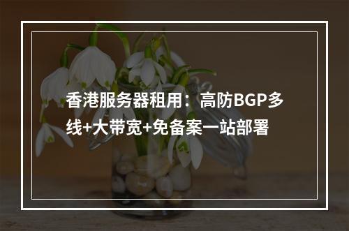 香港服务器租用：高防BGP多线+大带宽+免备案一站部署