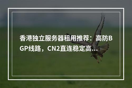 香港独立服务器租用推荐：高防BGP线路，CN2直连稳定高速