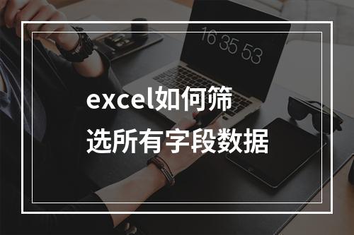 excel如何筛选所有字段数据