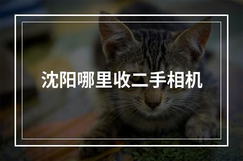 沈阳哪里收二手相机