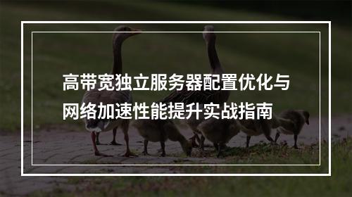 高带宽独立服务器配置优化与网络加速性能提升实战指南