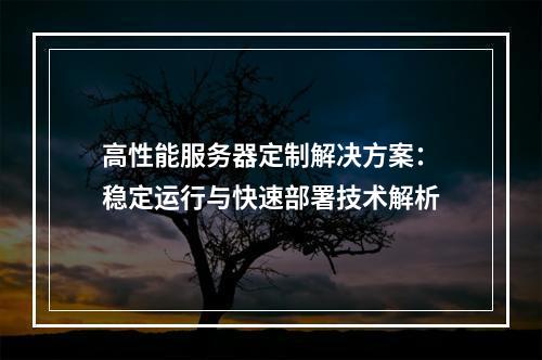 高性能服务器定制解决方案：稳定运行与快速部署技术解析
