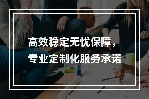 高效稳定无忧保障，专业定制化服务承诺
