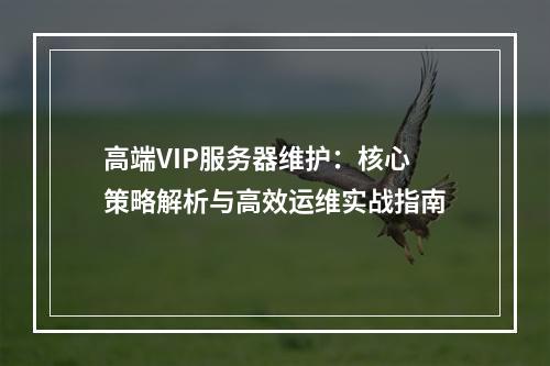 高端VIP服务器维护：核心策略解析与高效运维实战指南