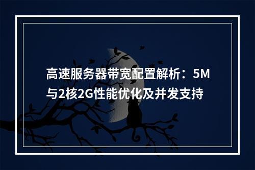 高速服务器带宽配置解析：5M与2核2G性能优化及并发支持