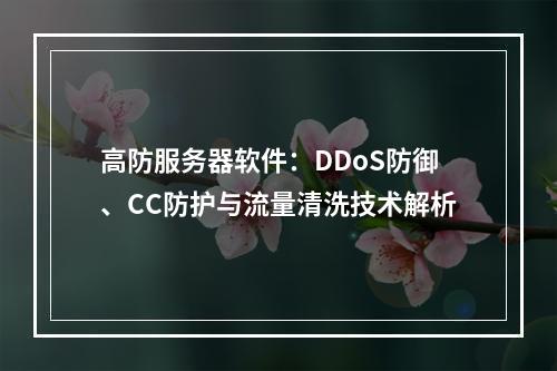 高防服务器软件：DDoS防御、CC防护与流量清洗技术解析
