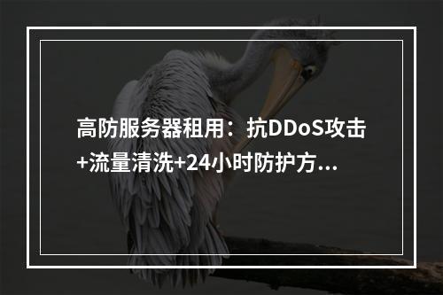 高防服务器租用：抗DDoS攻击+流量清洗+24小时防护方案