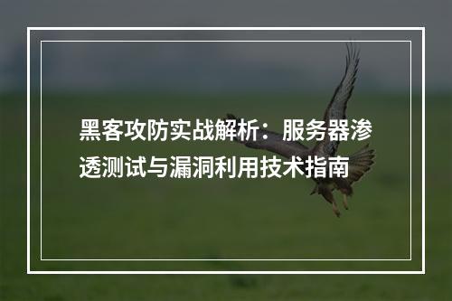 黑客攻防实战解析：服务器渗透测试与漏洞利用技术指南
