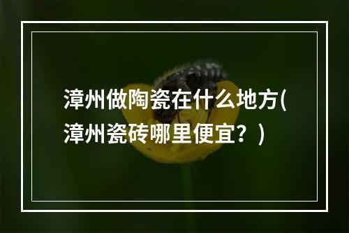 漳州做陶瓷在什么地方(漳州瓷砖哪里便宜?)