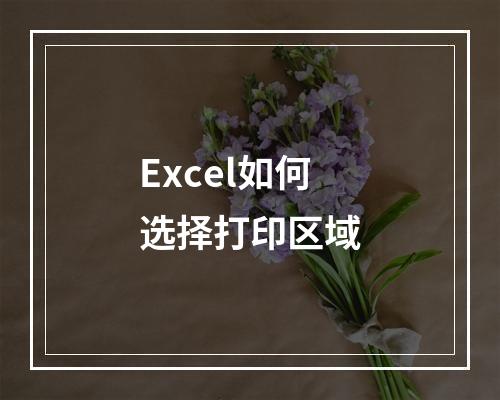 Excel如何选择打印区域