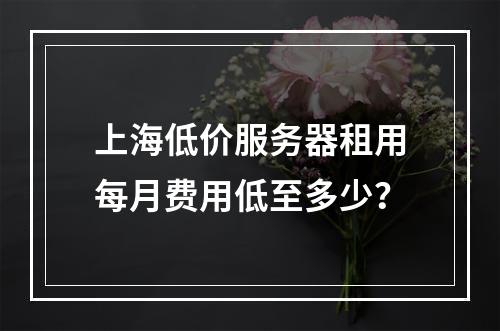 上海低价服务器租用每月费用低至多少？