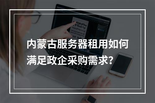 内蒙古服务器租用如何满足政企采购需求？