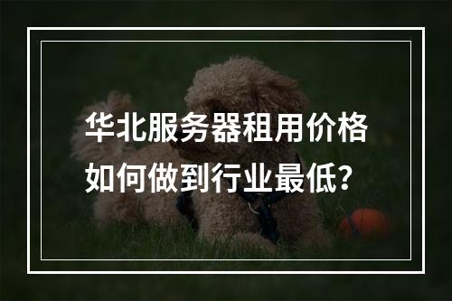 华北服务器租用价格如何做到行业最低？