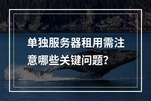 单独服务器租用需注意哪些关键问题？