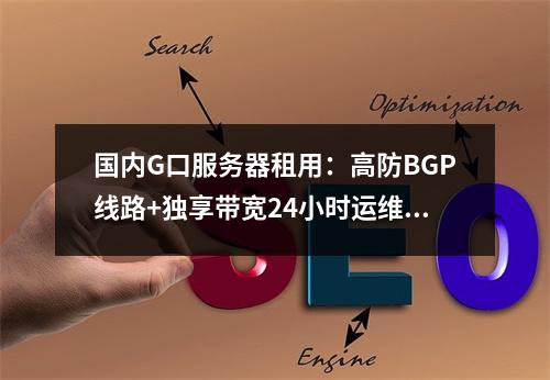 国内G口服务器租用：高防BGP线路+独享带宽24小时运维方案