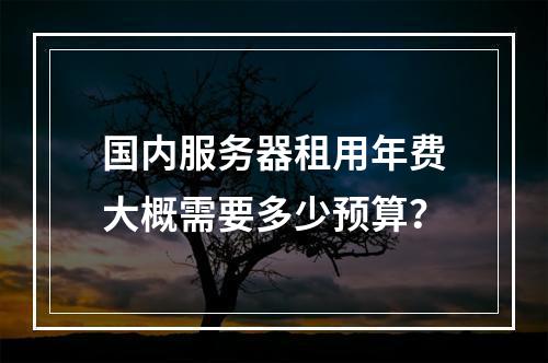 国内服务器租用年费大概需要多少预算？