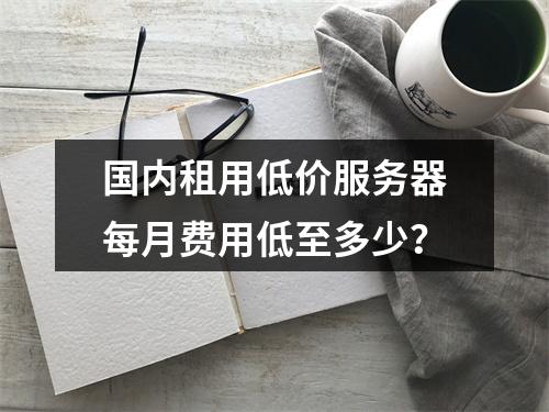 国内租用低价服务器每月费用低至多少？