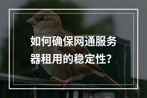 如何确保网通服务器租用的稳定性？