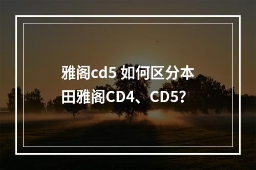 雅阁cd5 如何区分本田雅阁CD4、CD5?